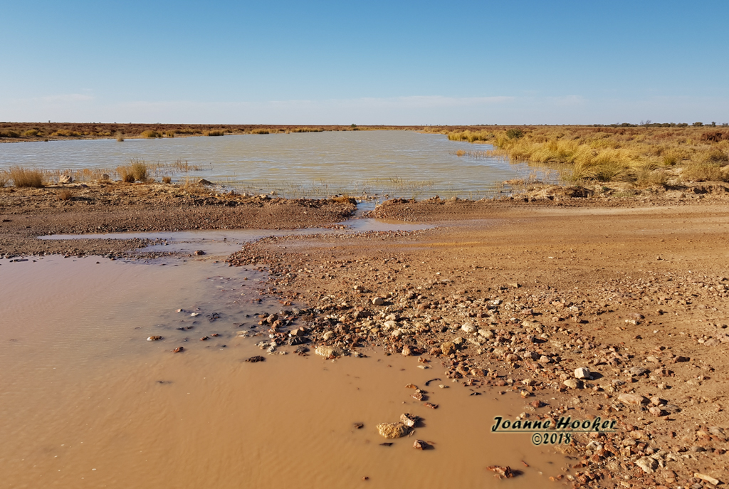 Mirra Mitta Sea